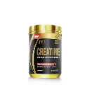 CREATINE LEVEL PRO 500 g | Creatina Monohidratada Micronizada